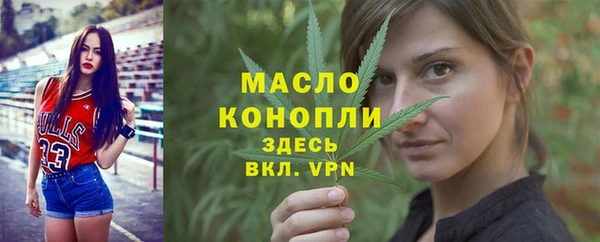 дживик Каменка