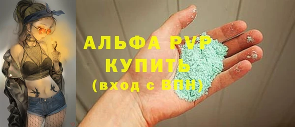 дживик Каменка