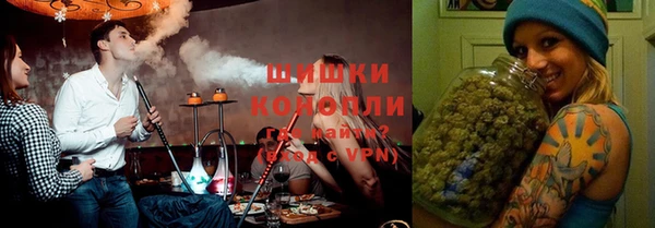 дживик Каменка