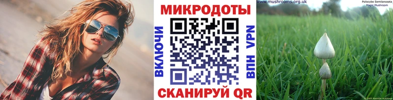 Галлюциногенные грибы MAGIC MUSHROOMS  Красавино 